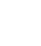 Palad SRL